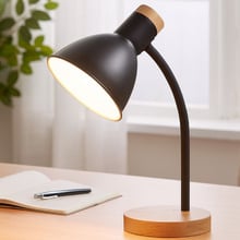 Rankin Metal & Timber Desk Lamp